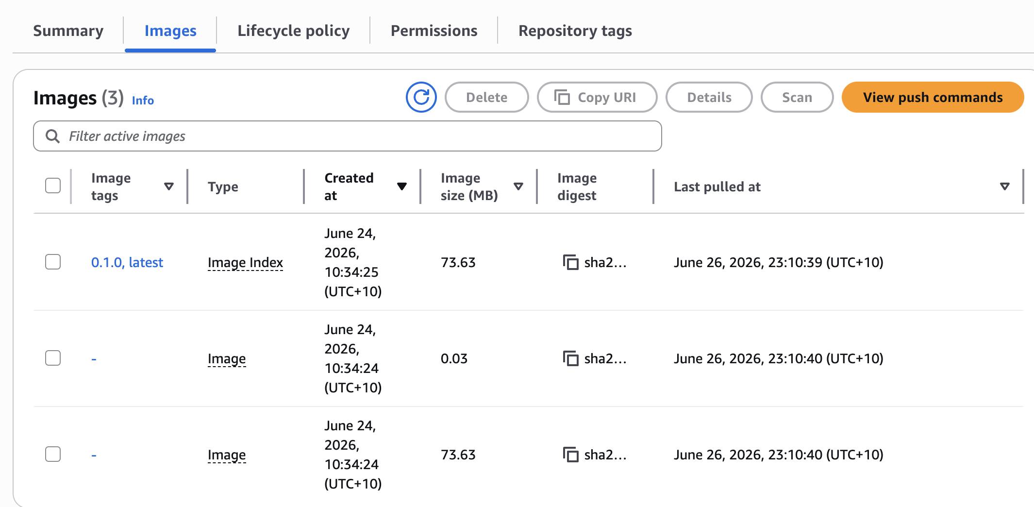 AWS ECR Images
