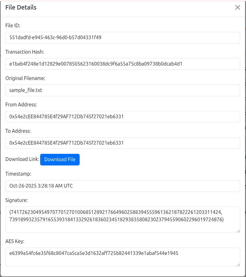 File upload details